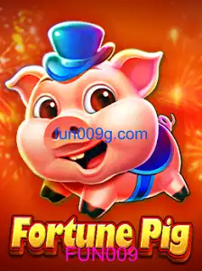 FortunePig